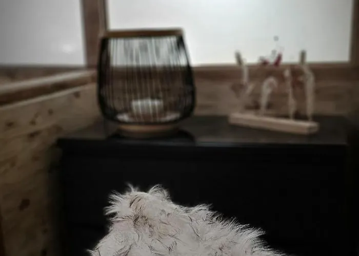 Appartamento Le Petit Erable Blavozy